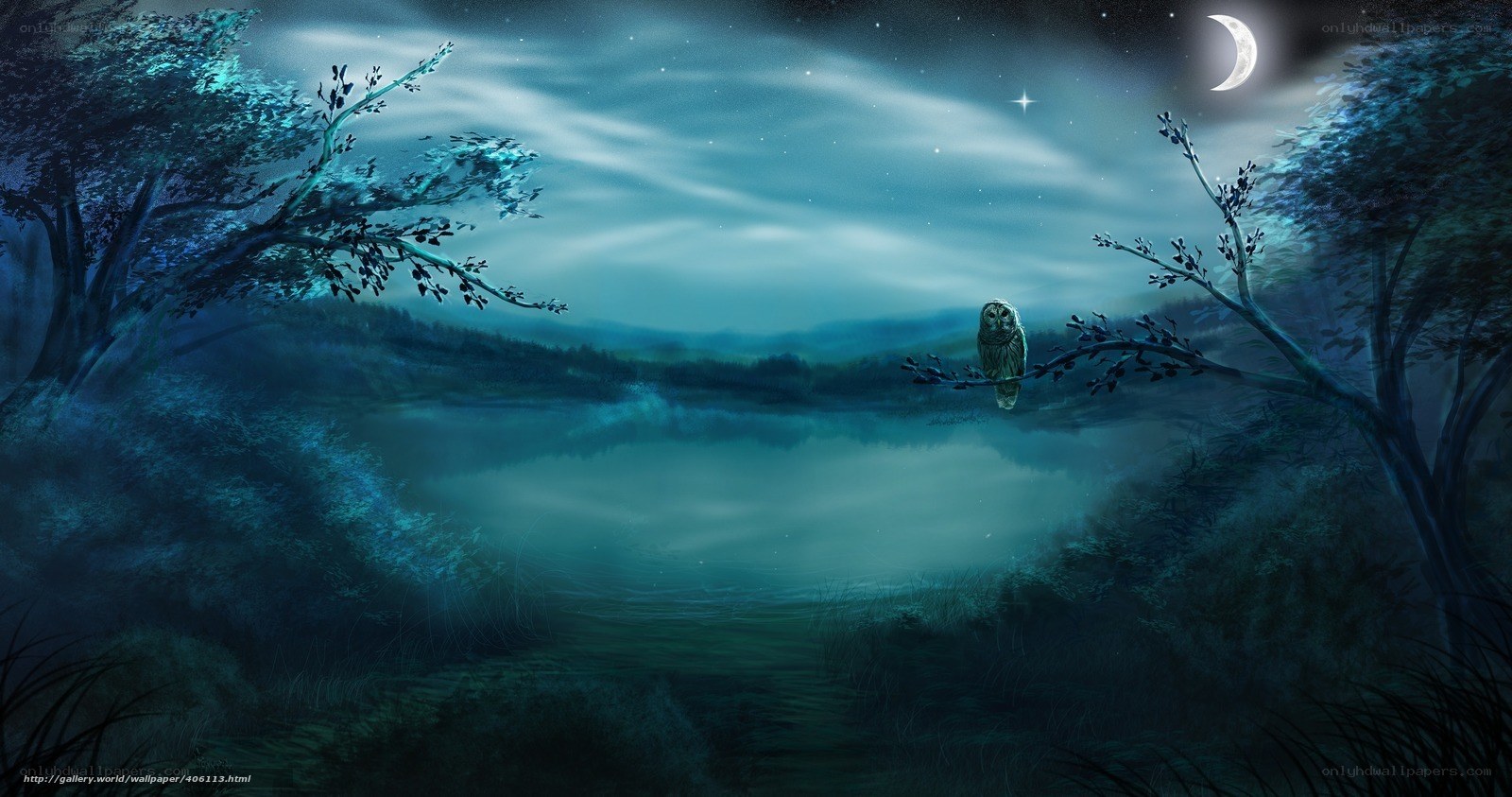Owl on a moonlit lake