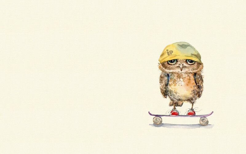 Owl on a skateboard