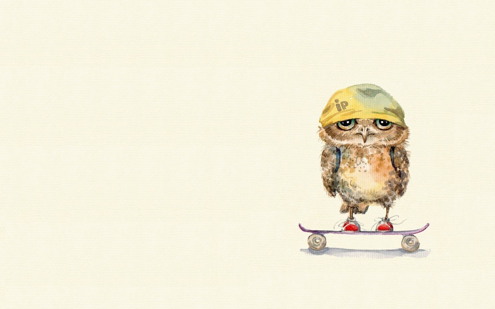 Owl on a skateboard