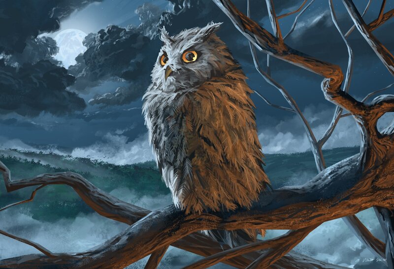 Owl on a Tree Branch — Brown, Dramatic, Night