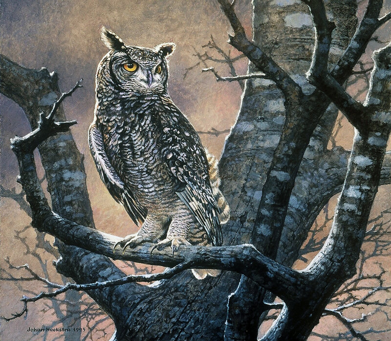 Owl on a Tree Branch — Brown, Dramatic