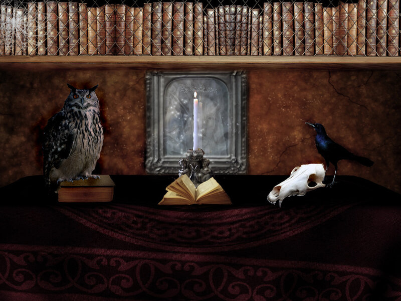 Owl on Bookshelf