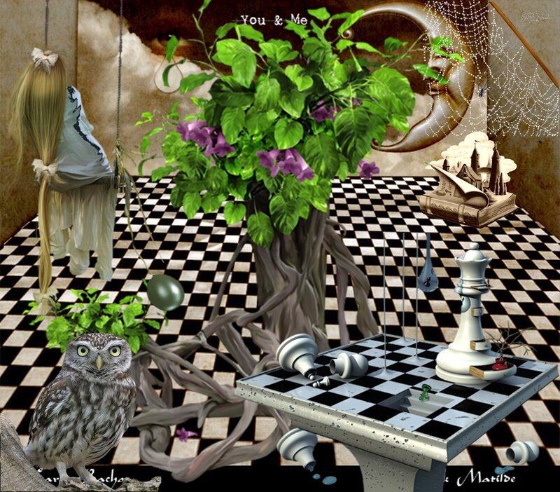 Owl on Chessboard