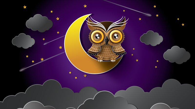 Owl on Crescent Moon — Purple