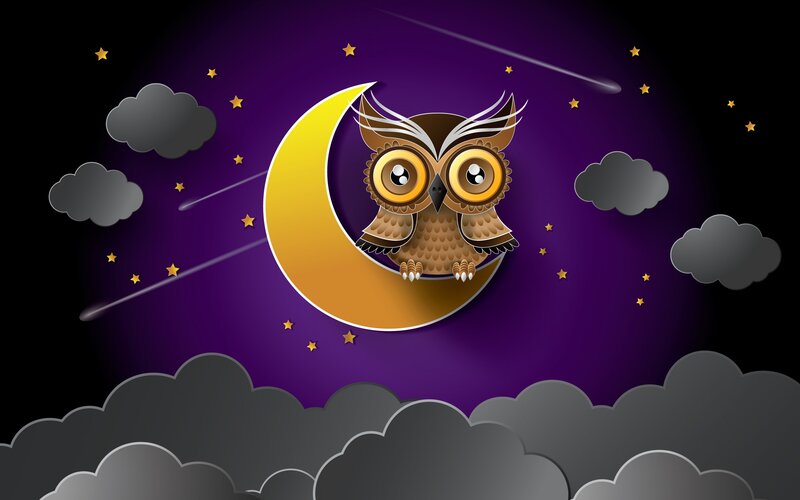 Owl on Crescent Moon