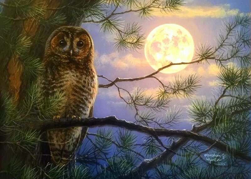 Owl on Pine Branch — Blue