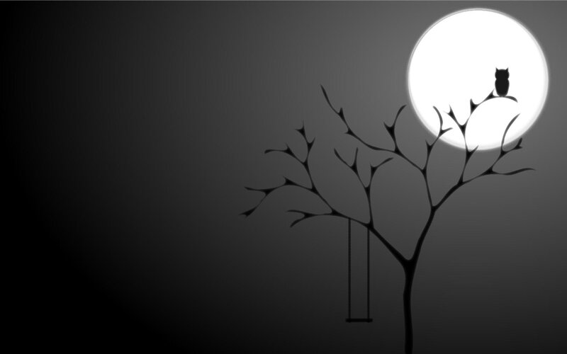 Owl on Tree Branch — Black, Serene