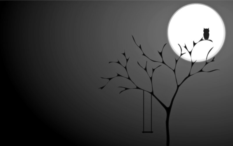 Owl on Tree Branch — Black