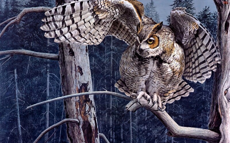 Owl on Tree Branch — Brown, Dramatic