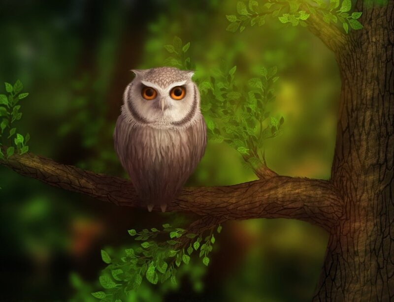Owl on Tree Branch — Green, Serene, Afternoon