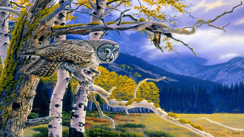 Owl on Tree Branch — Yellow