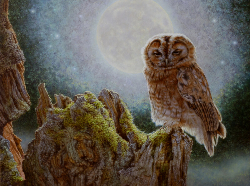Owl on Tree Stump