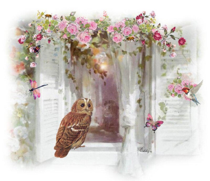 Owl on Window Sill
