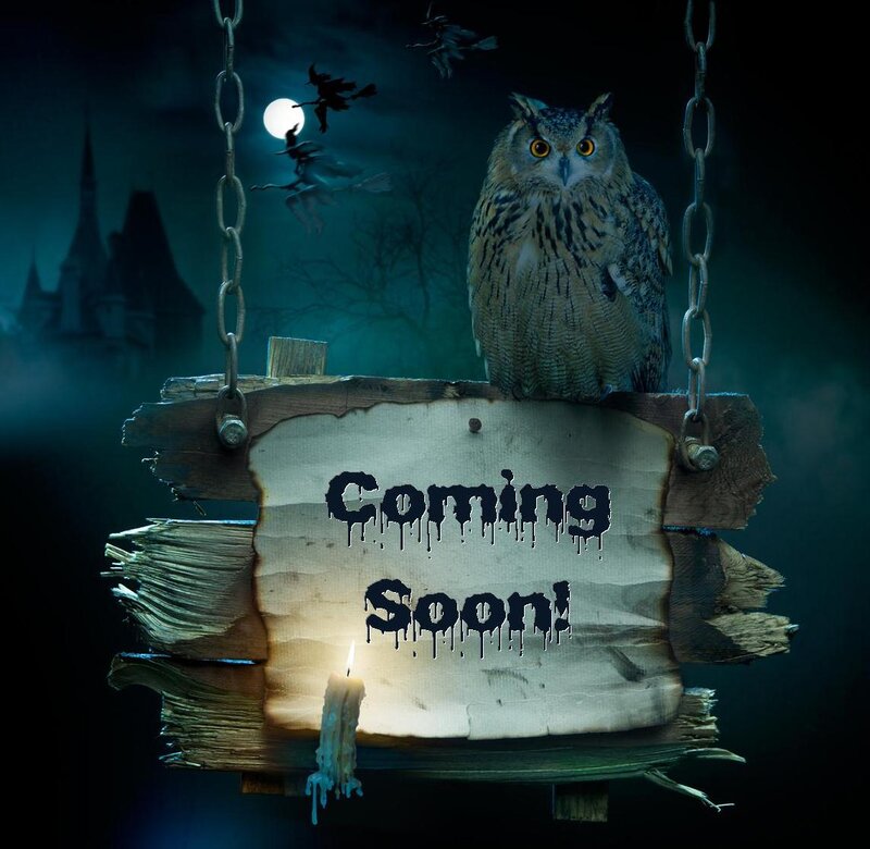Owl on Wooden Sign