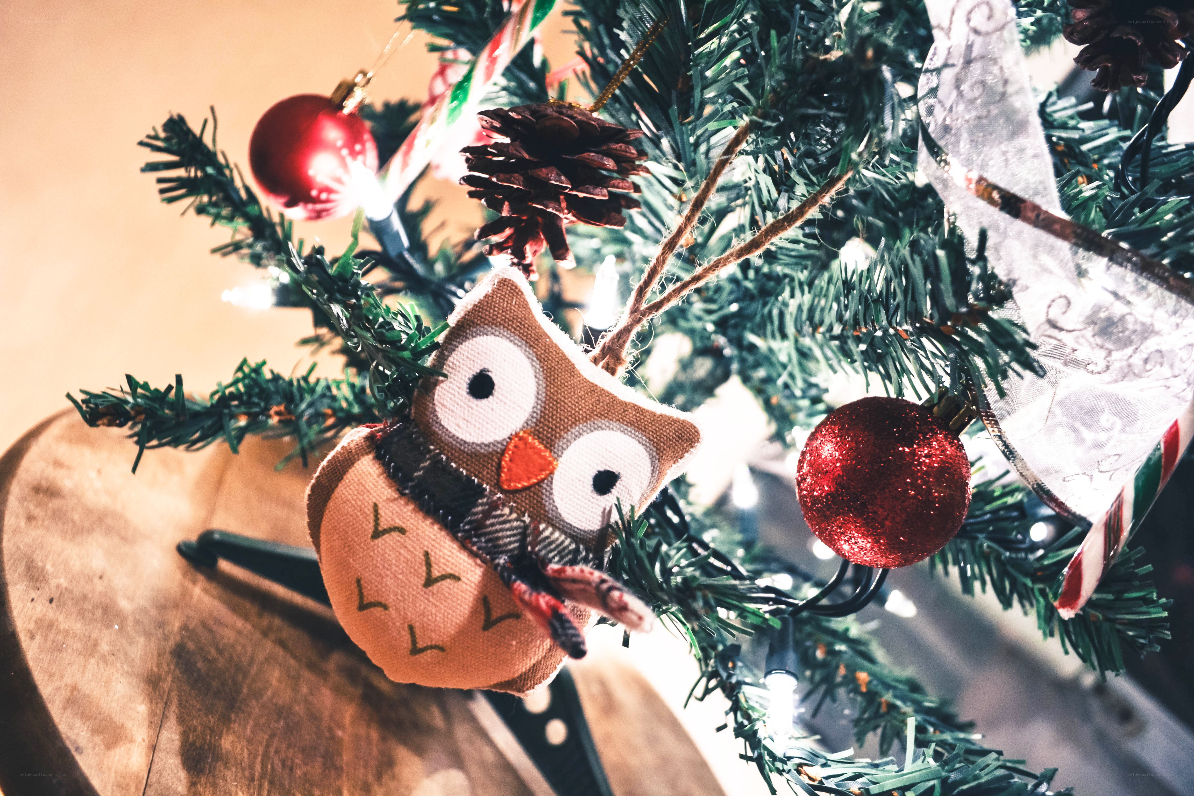 Owl ornament on Christmas tree