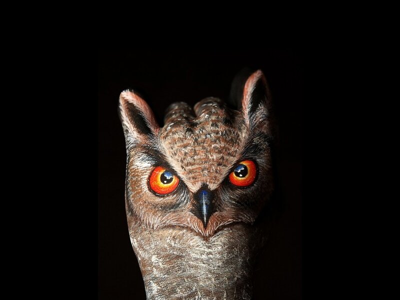 Owl Painted on Hand