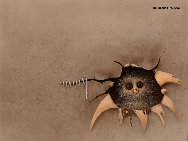 Owl Peeking Through Hole