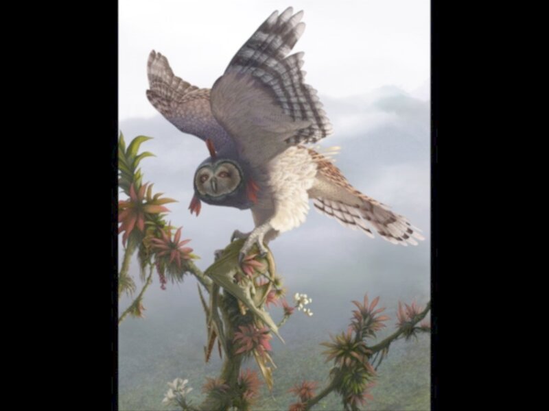 Owl perched on a branch