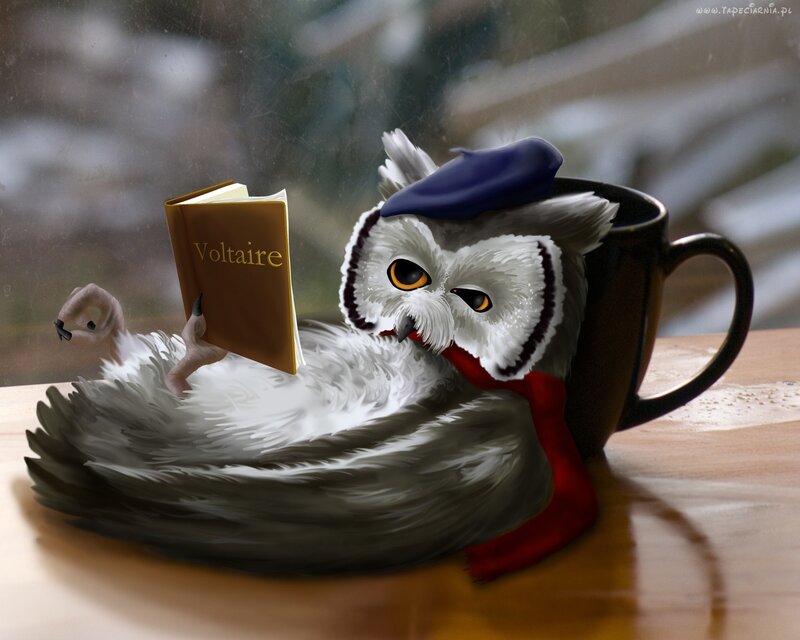 Owl Reading Book — White