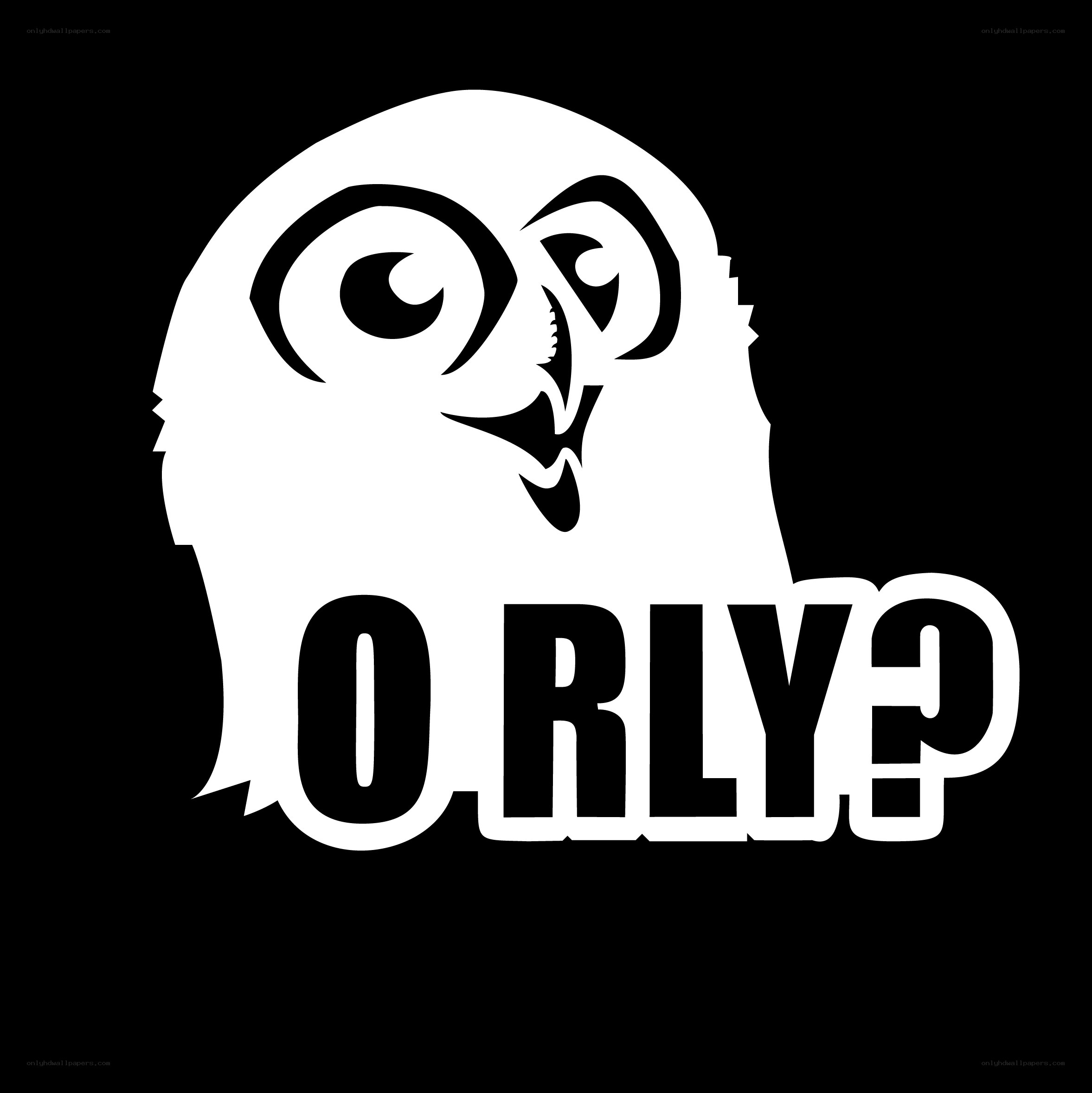 owl saying 'orly?'