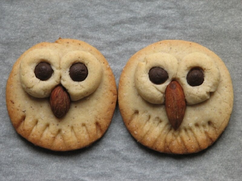 Owl-shaped Cookies