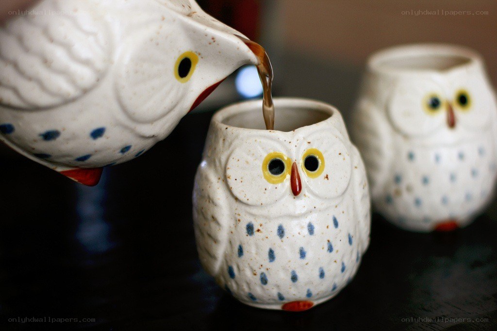 Owl-shaped mugs pouring tea