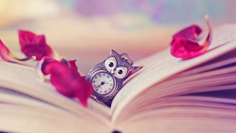 Owl-shaped Pocket Watch — Pink, Serene, Photograph