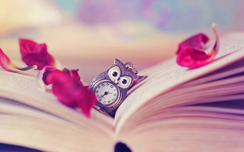 Owl-shaped Pocket Watch — Pink, Serene