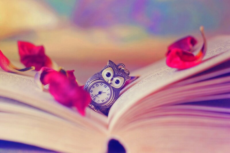Owl-shaped Pocket Watch — Pink