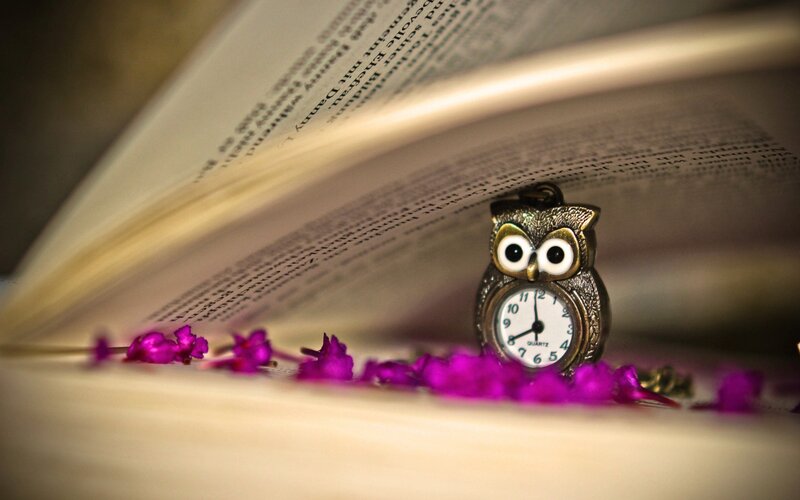 Owl-shaped Pocket Watch — Purple