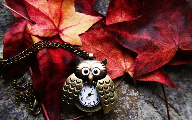 Owl-shaped Pocket Watch — Red, Autumnal