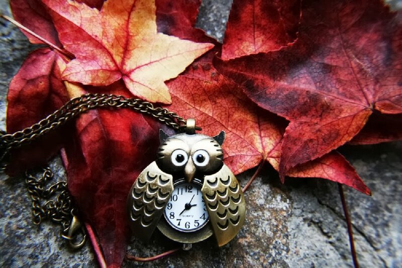 Owl-shaped Pocket Watch — Red