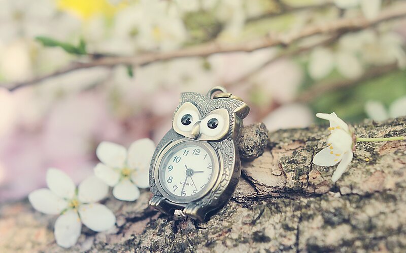 Owl-shaped Pocket Watch