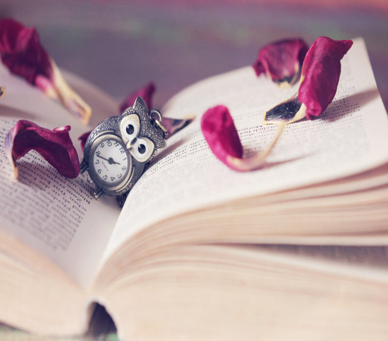 Owl-shaped Pocket Watch — White, Serene