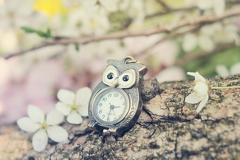 Owl-shaped Pocket Watch — White