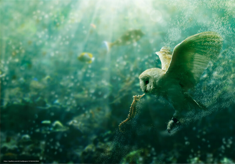 Owl Underwater with Seahorse — Green