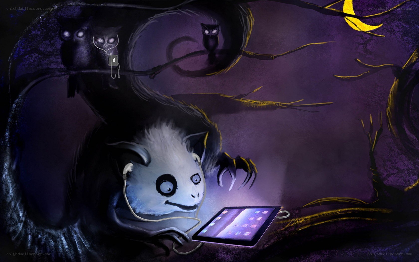 owl watching tablet at night