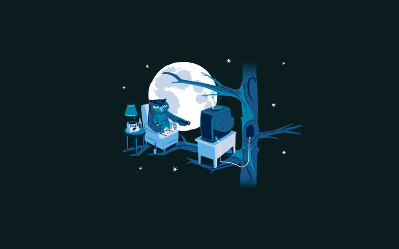 Owl watching TV at night