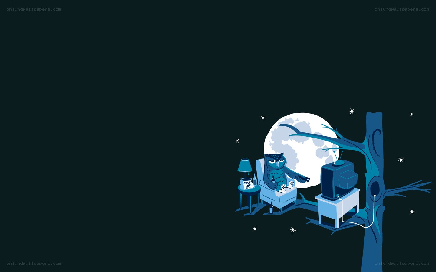 owl watching TV at night