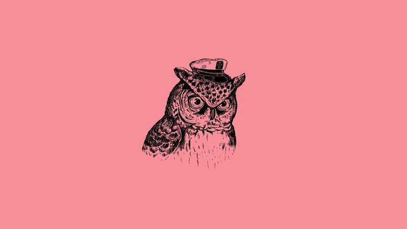 owl wearing a hat