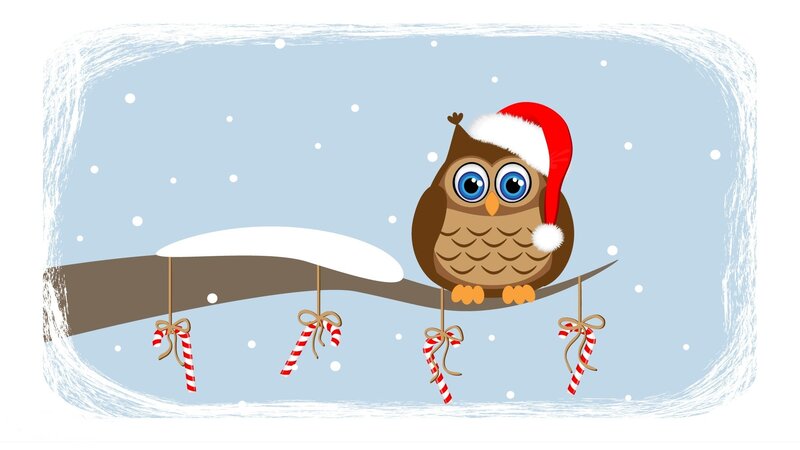 Owl Wearing Santa Hat