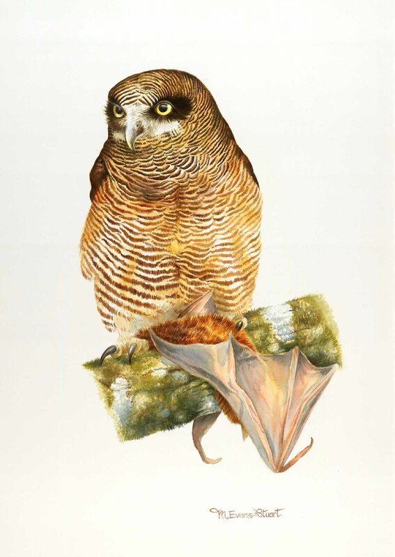 Owl with a bat