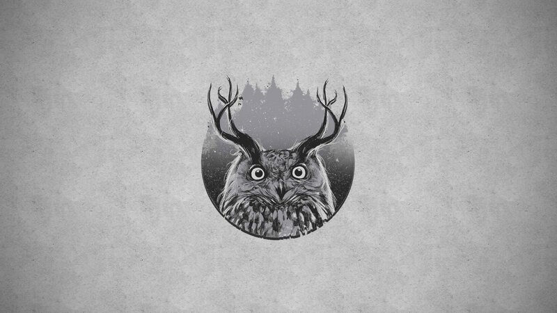 Owl with Antlers — Gray, Mysterious