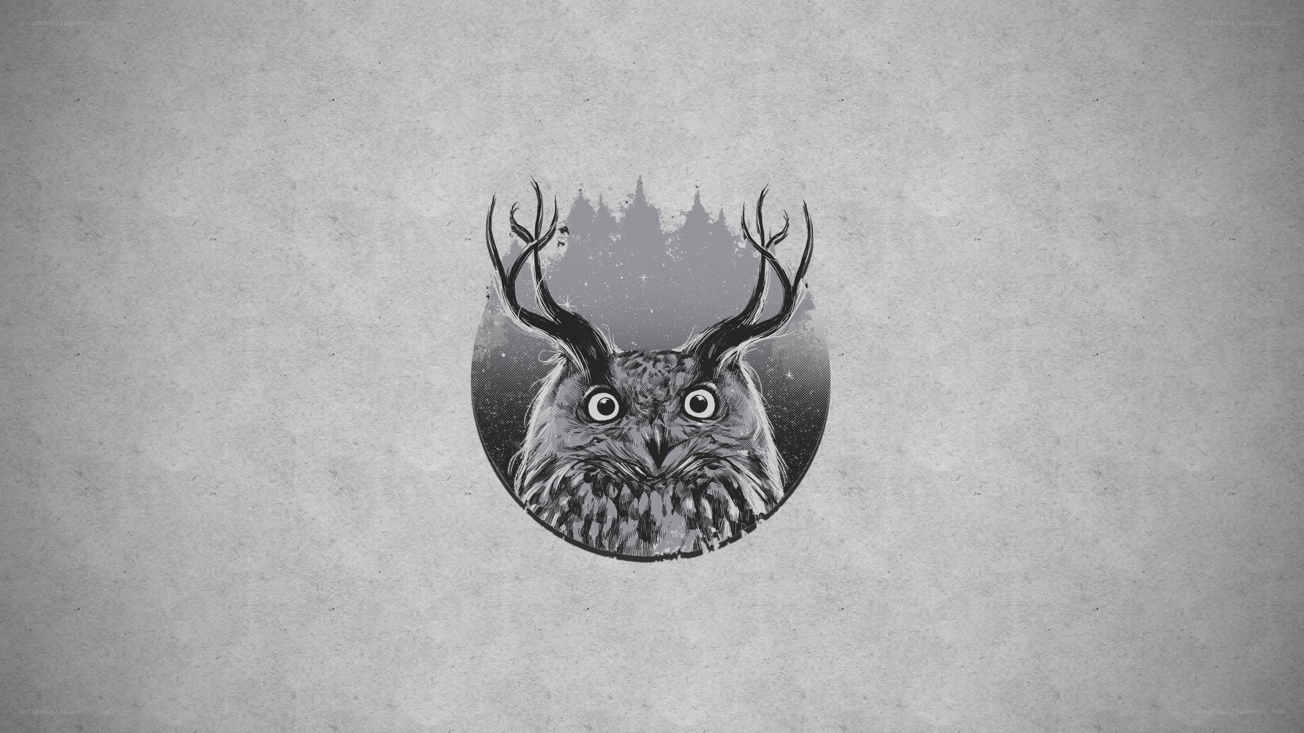 owl with antlers illustration