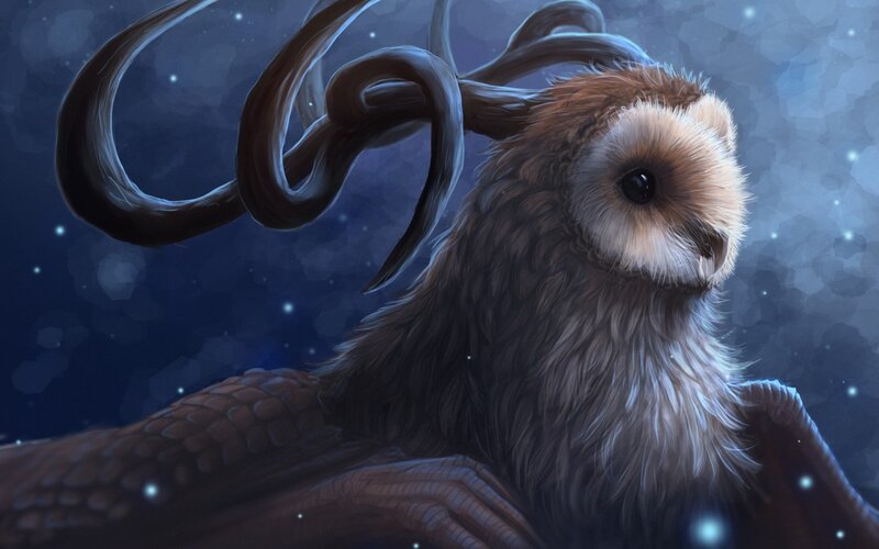 Owl with Antlers