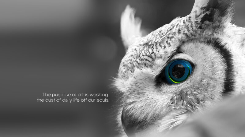 Owl with Blue Eye