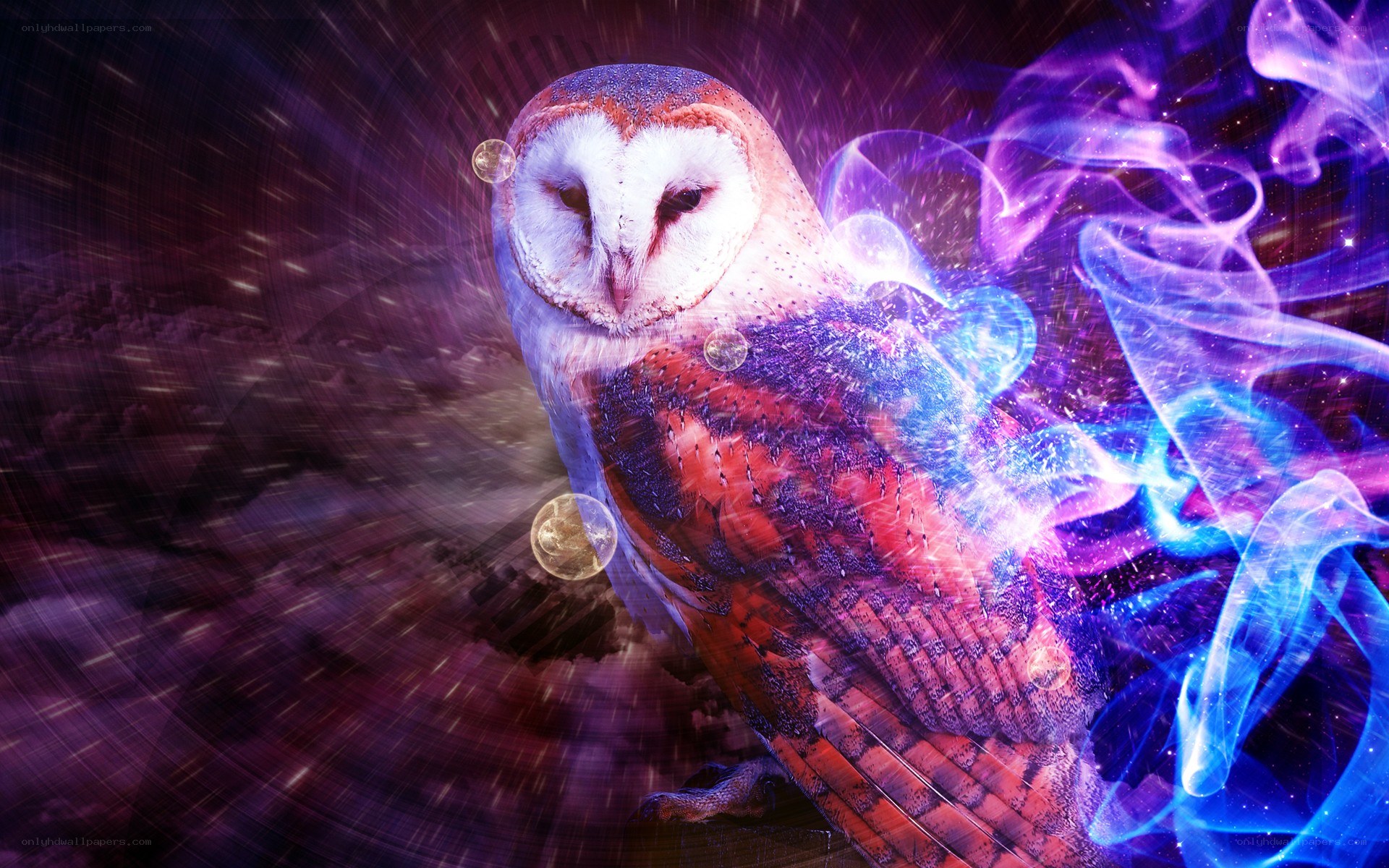 Owl with cosmic energy