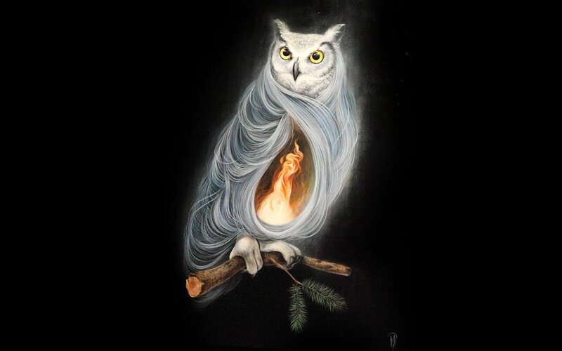 Owl with fire inside