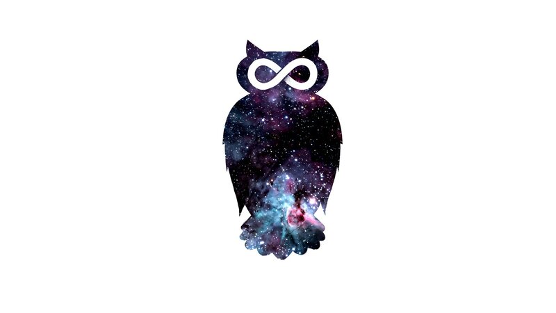 Owl with Galaxy Pattern
