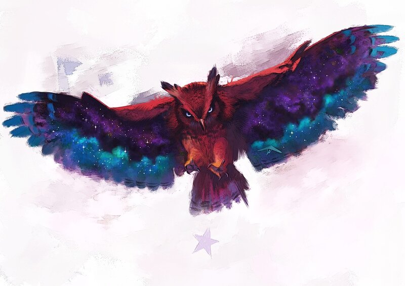 Owl with Galaxy Wings
